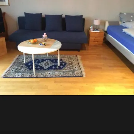 Dachstudio Mit Bad Und Terasse Privat bolig