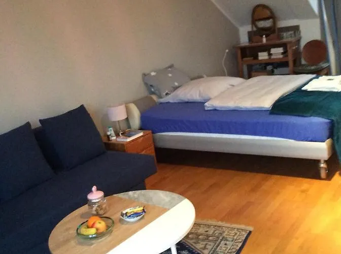 Dachstudio Mit Bad Und Terasse