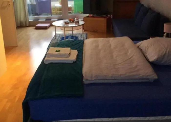 Dachstudio Mit Bad Und Terasse Privat bolig *