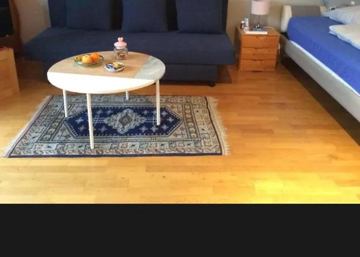 Dachstudio Mit Bad Und Terasse Privat bolig