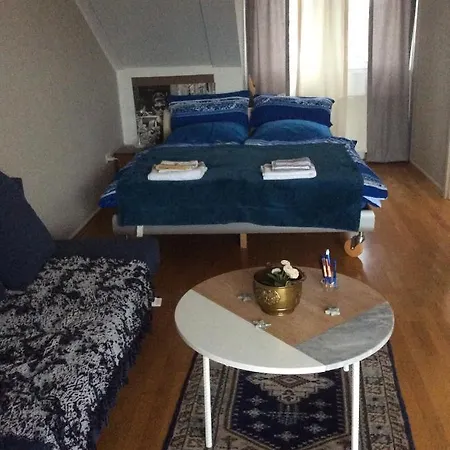 Dachstudio Mit Bad Und Terasse *