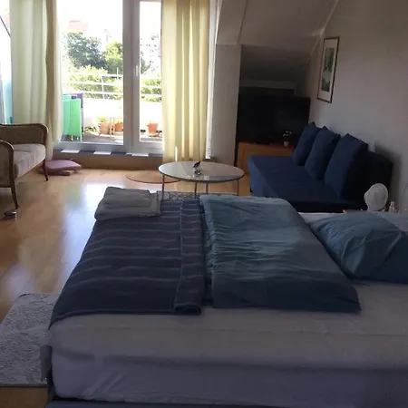 Dachstudio Mit Bad Und Terasse Homestay *