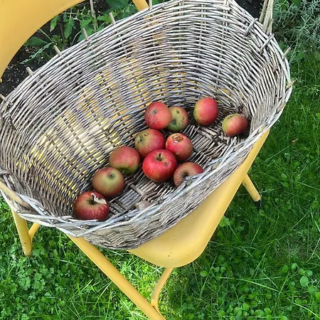 Dachstudio Mit Bad Und Terasse 民宿 科隆