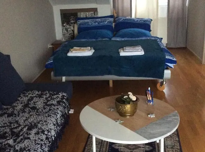 Dachstudio Mit Bad Und Terasse *