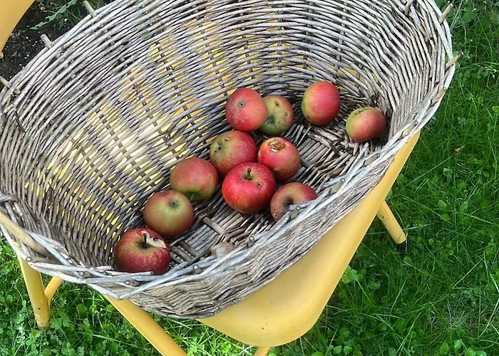 Dachstudio Mit Bad Und Terasse Δωμάτια σε οικογενειακή κατοικία Κολωνία
